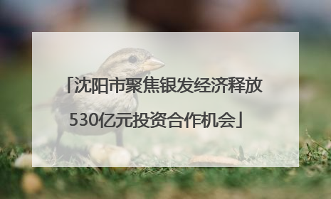 沈阳市聚焦银发经济释放530亿元投资合作机会