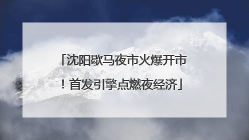 沈阳歇马夜市火爆开市！首发引擎点燃夜经济