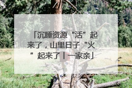 沉睡资源“活”起来了，山里日子“火”起来了丨一家亲