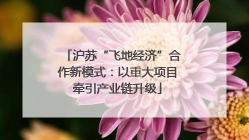 沪苏“飞地经济”合作新模式：以重大项目牵引产业链升级