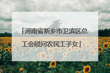 河南省新乡市卫滨区总工会慰问农民工子女