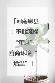 河南息县：审批流程“瘦身” 营商环境“增温”
