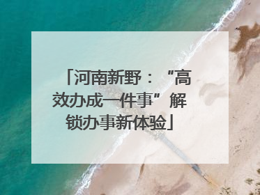 河南新野：“高效办成一件事”解锁办事新体验