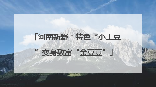 河南新野：特色“小土豆”变身致富“金豆豆”