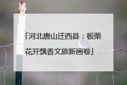 河北唐山迁西县：板栗花开飘香文旅新画卷
