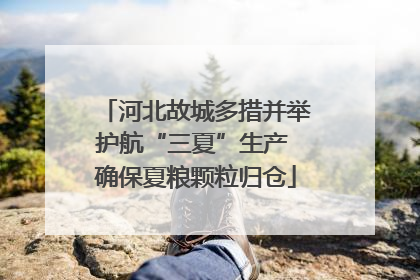河北故城多措并举护航“三夏”生产 确保夏粮颗粒归仓