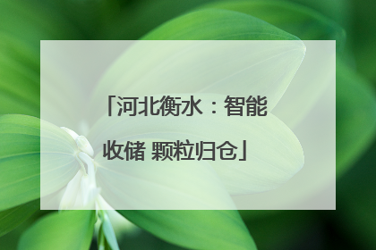 河北衡水：智能收储 颗粒归仓