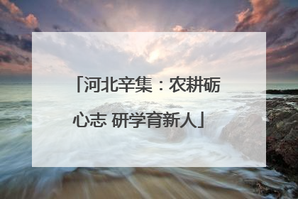 河北辛集：农耕砺心志 研学育新人