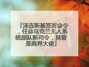 泽连斯基签署命令，任命乌克兰无人系统部队新司令，其曾是商界大佬