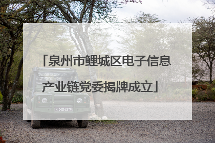 泉州市鲤城区电子信息产业链党委揭牌成立