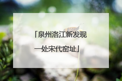 泉州洛江新发现一处宋代窑址