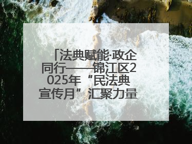 法典赋能·政企同行——锦江区2025年“民法典宣传月”汇聚力量 助推企业发展
