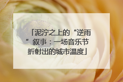 泥泞之上的“逆雨”叙事：一场音乐节折射出的城市温度