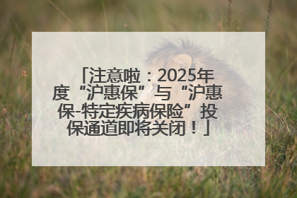 注意啦：2025年度“沪惠保”与“沪惠保-特定疾病保险”投保通道即将关闭！