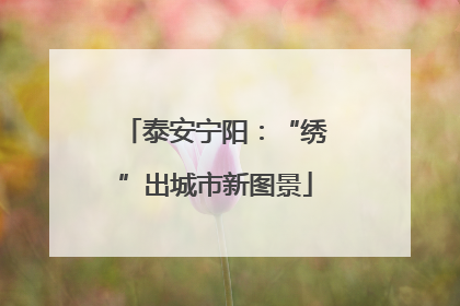 泰安宁阳：“绣”出城市新图景