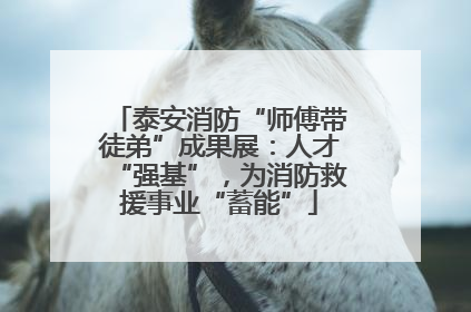 泰安消防“师傅带徒弟”成果展：人才“强基”，为消防救援事业“蓄能”