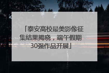 泰安高校最美影像征集结果揭晓，端午假期30强作品开展