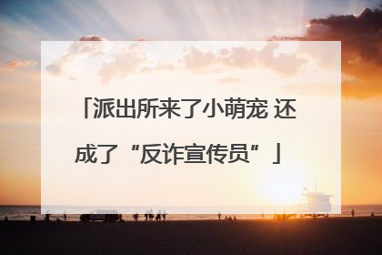 派出所来了小萌宠 还成了“反诈宣传员”