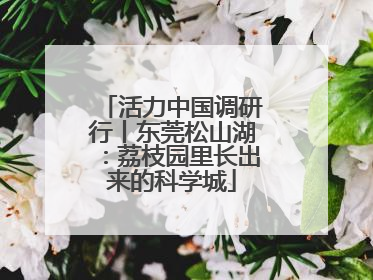活力中国调研行丨东莞松山湖：荔枝园里长出来的科学城