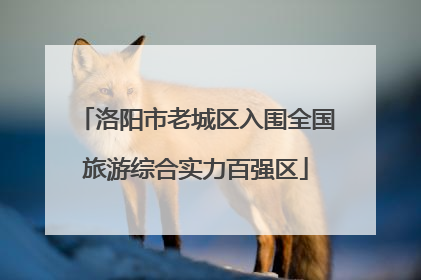 洛阳市老城区入围全国旅游综合实力百强区