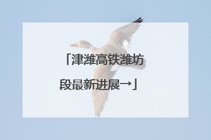 津潍高铁潍坊段最新进展→