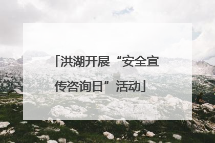 洪湖开展“安全宣传咨询日”活动