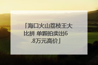 海口火山荔枝王大比拼 单颗拍卖出6.8万元高价