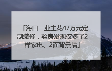 海口一业主花47万元定制装修，验房发现仅多了2样家电、2面背景墙