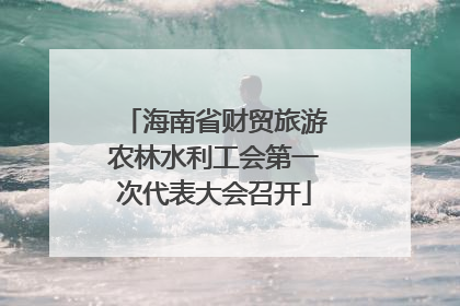 海南省财贸旅游农林水利工会第一次代表大会召开