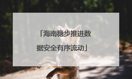 海南稳步推进数据安全有序流动