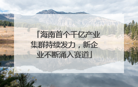 海南首个千亿产业集群持续发力，新企业不断涌入赛道