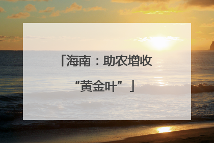 海南：助农增收 “黄金叶”