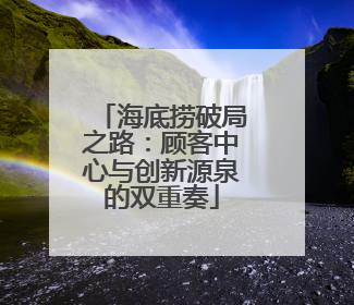 海底捞破局之路：顾客中心与创新源泉的双重奏