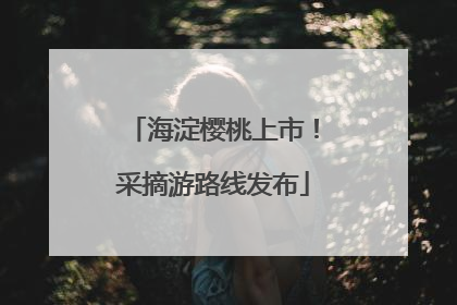 海淀樱桃上市！采摘游路线发布