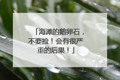 海滩的鹅卵石，不要捡！会有很严重的后果！
