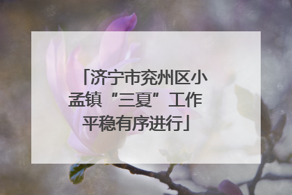 济宁市兖州区小孟镇“三夏”工作平稳有序进行