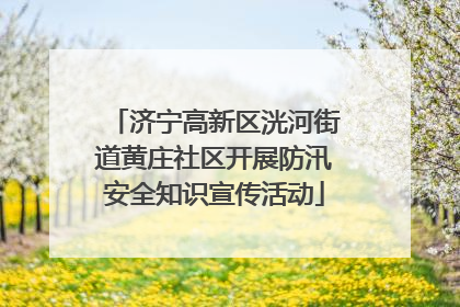 济宁高新区洸河街道黄庄社区开展防汛安全知识宣传活动