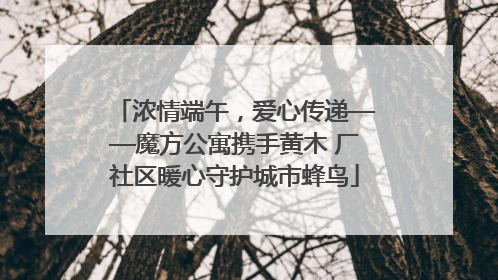 浓情端午，爱心传递——魔方公寓携手黄木 厂社区暖心守护城市蜂鸟