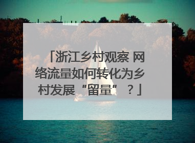 浙江乡村观察 网络流量如何转化为乡村发展“留量”？