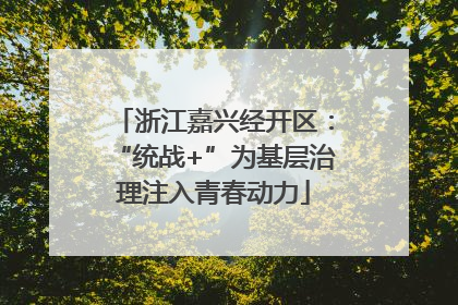 浙江嘉兴经开区：“统战+”为基层治理注入青春动力