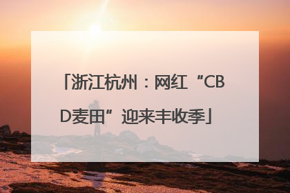 浙江杭州：网红“CBD麦田”迎来丰收季