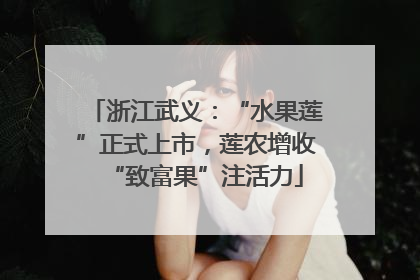 浙江武义：“水果莲”正式上市，莲农增收“致富果”注活力