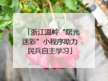 浙江温岭“曙光迷彩”小程序助力民兵自主学习