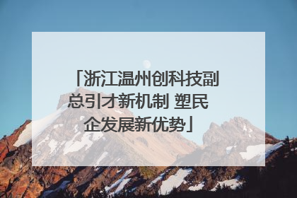 浙江温州创科技副总引才新机制 塑民企发展新优势