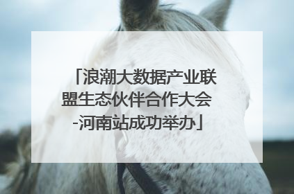 浪潮大数据产业联盟生态伙伴合作大会-河南站成功举办