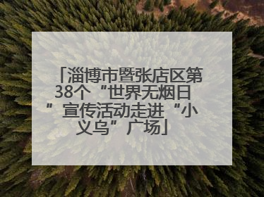 淄博市暨张店区第38个“世界无烟日”宣传活动走进“小义乌”广场