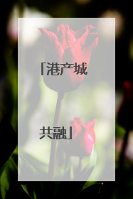 港产城共融