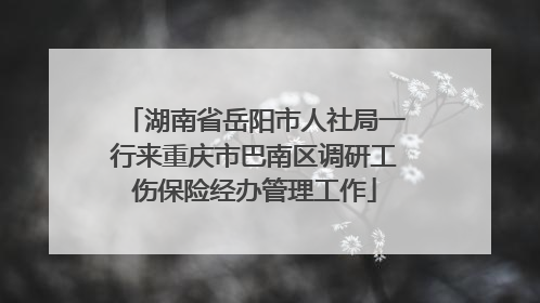 湖南省岳阳市人社局一行来重庆市巴南区调研工伤保险经办管理工作