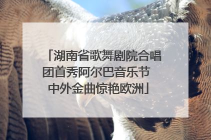 湖南省歌舞剧院合唱团首秀阿尔巴音乐节 中外金曲惊艳欧洲