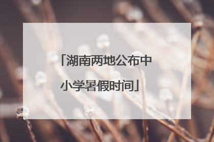 湖南两地公布中小学暑假时间